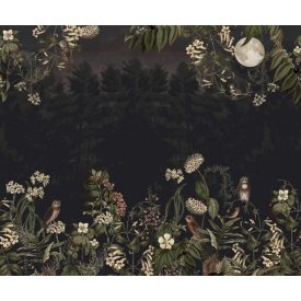 Rebel Walls / Hot Pops