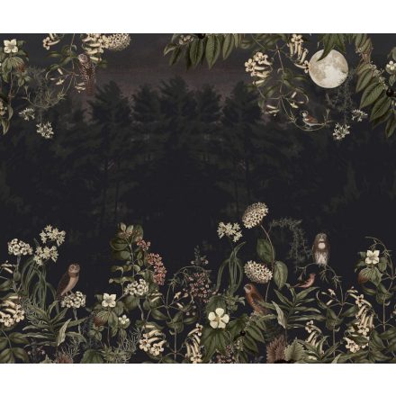 Rebel Walls / Hot Pops