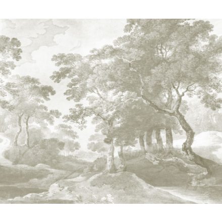 Rebel Walls / Hot Pops