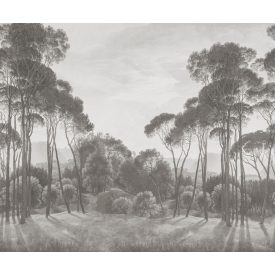 Rebel Walls / Hot Pops