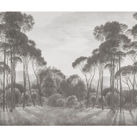 Rebel Walls / Hot Pops