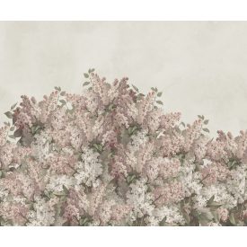 Rebel Walls / Hot Pops