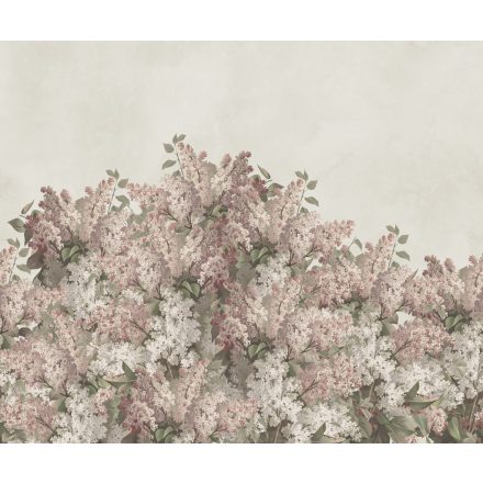 Rebel Walls / Hot Pops