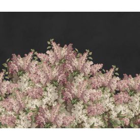 Rebel Walls / Hot Pops