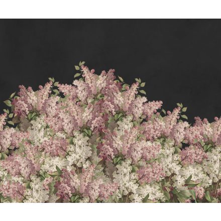 Rebel Walls / Hot Pops