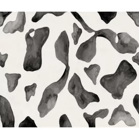 Rebel Walls / Hot Pops