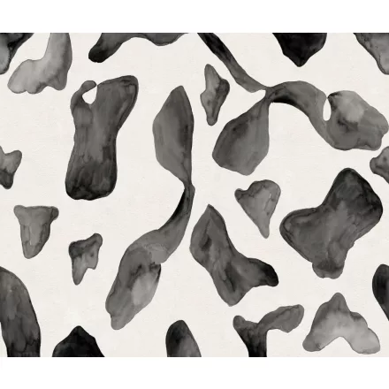 Rebel Walls / Hot Pops