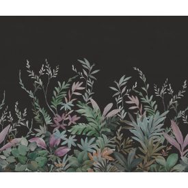 Rebel Walls / Hot Pops