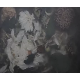 Rebel Walls / Hot Pops