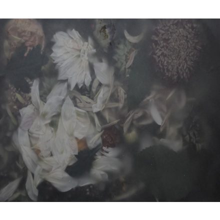 Rebel Walls / Hot Pops