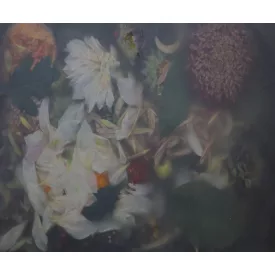 Rebel Walls / Hot Pops