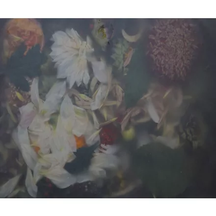 Rebel Walls / Hot Pops