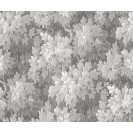 Rebel Walls / Poetic