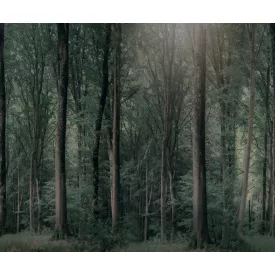 Rebel Walls / Hot Pops