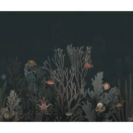 Rebel Walls / Hot Pops