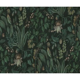 Rebel Walls / Hot Pops