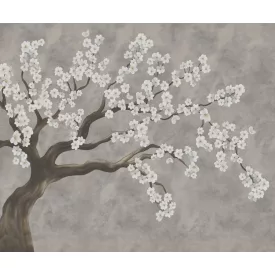 Rebel Walls / Hot Pops