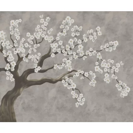 Rebel Walls / Hot Pops