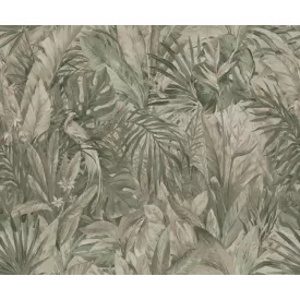 Rebel Walls / Hot Pops