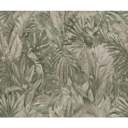 Rebel Walls / Hot Pops