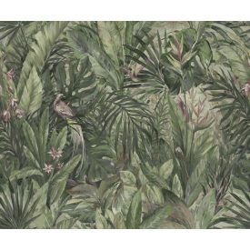 Rebel Walls / Hot Pops