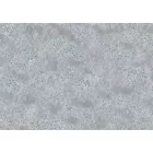 Komar / Raw Edition 1 poszter