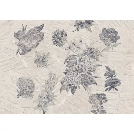 Komar / Raw Edition 1 poszter