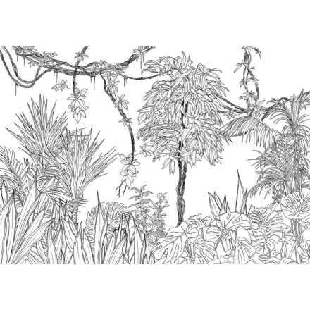 Komar / Raw Edition 1 poszter