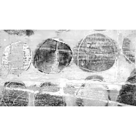 Komar / Roswitha Huber poszter