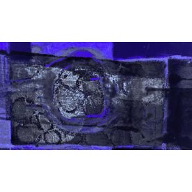 Komar / Roswitha Huber poszter