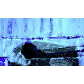 Komar / Roswitha Huber poszter