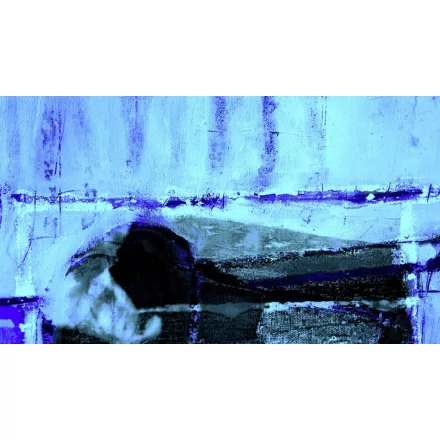 Komar / Roswitha Huber poszter