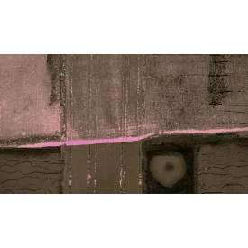 Komar / Roswitha Huber poszter