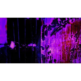 Komar / Roswitha Huber poszter