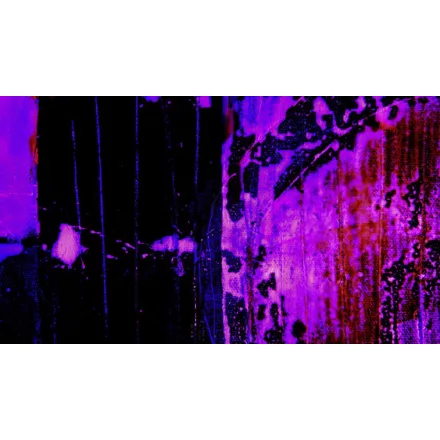 Komar / Roswitha Huber poszter