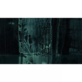 Komar / Roswitha Huber poszter