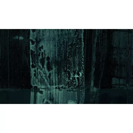 Komar / Roswitha Huber poszter