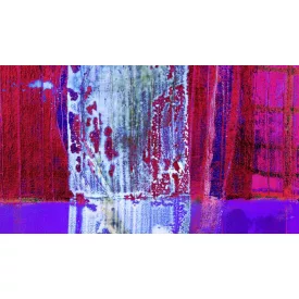 Komar / Roswitha Huber poszter