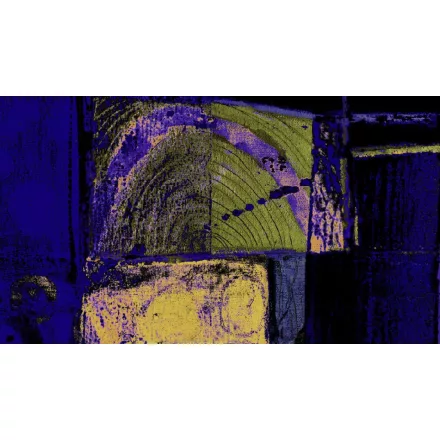 Komar / Roswitha Huber poszter