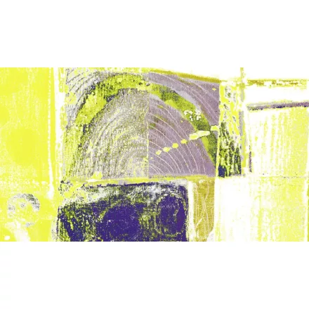 Komar / Roswitha Huber poszter