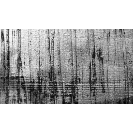 Komar / Roswitha Huber poszter