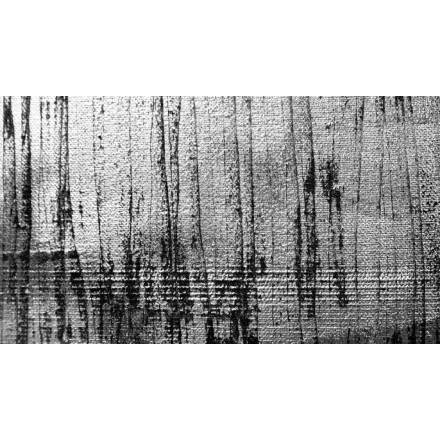 Komar / Roswitha Huber poszter