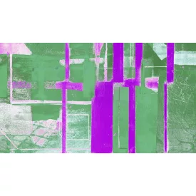 Komar / Roswitha Huber poszter