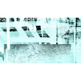 Komar / Roswitha Huber poszter