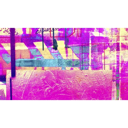 Komar / Roswitha Huber poszter