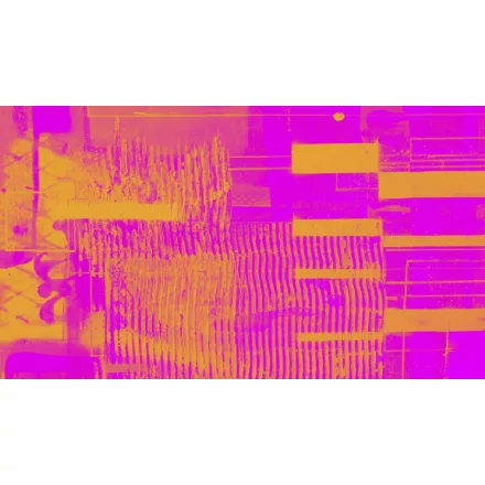 Komar / Roswitha Huber poszter