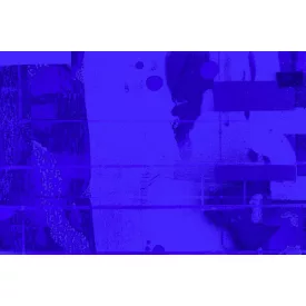 Komar / Roswitha Huber poszter