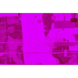 Komar / Roswitha Huber poszter