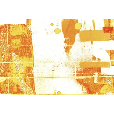 Komar / Roswitha Huber poszter