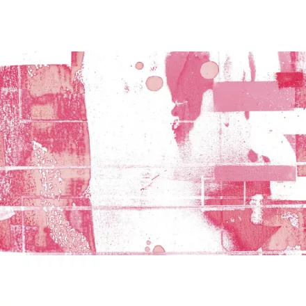 Komar / Roswitha Huber poszter